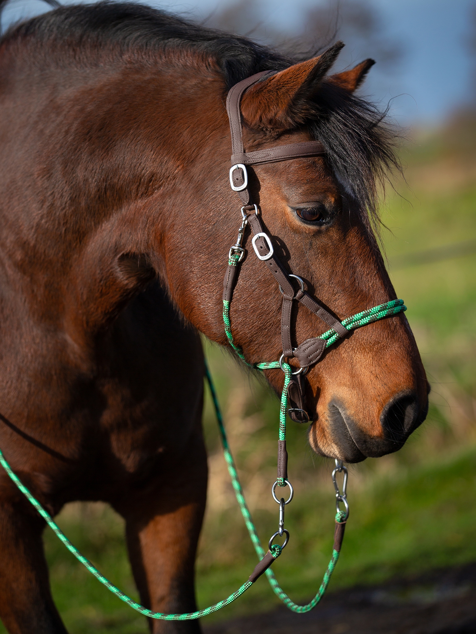 VegiTex® Bridle 'Syringa' with reins
