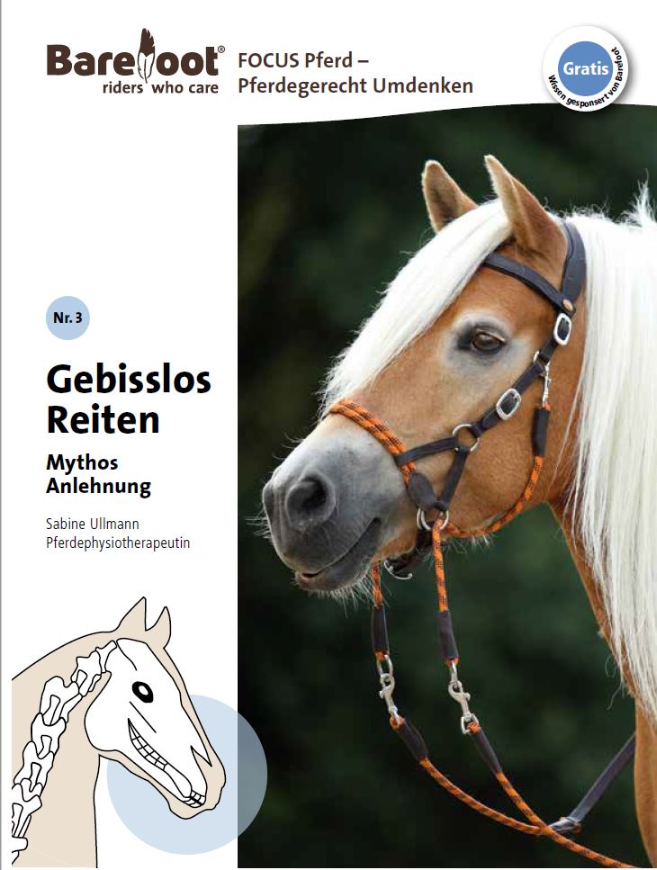 Titelblatt-Broch-3